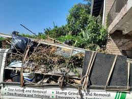 Professional Junk Removal Services in Point Venture, TX